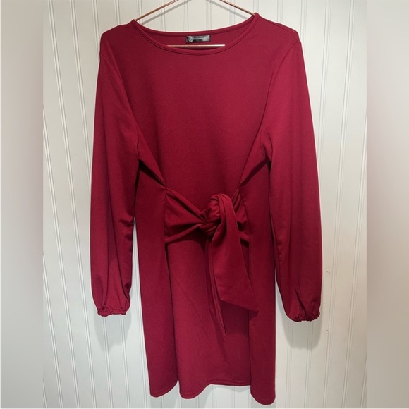 PRETTYGARDEN Women's Large 12-14 Long Sleeve Short Dress Crewneck Tie Waist NWT - Picture 2 of 13